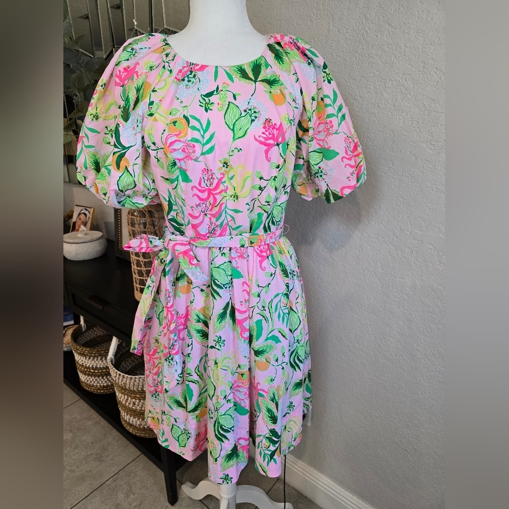 Lilly Pulitzer Knoxlie Elbow Puff Sleeves Dress Size 6